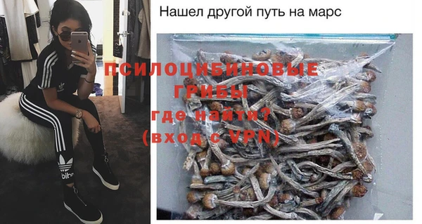 хмурый Богородск