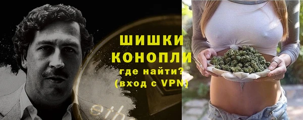 хмурый Богородск