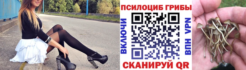 Псилоцибиновые грибы Magic Shrooms  Гусиноозёрск 